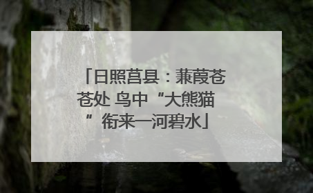 日照莒县：蒹葭苍苍处 鸟中“大熊猫”衔来一河碧水