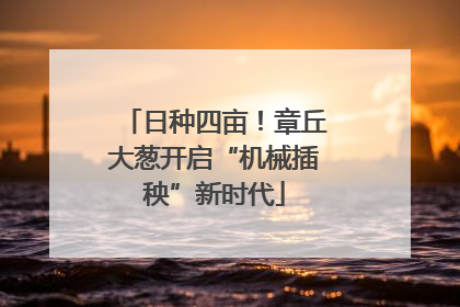 日种四亩！章丘大葱开启“机械插秧”新时代