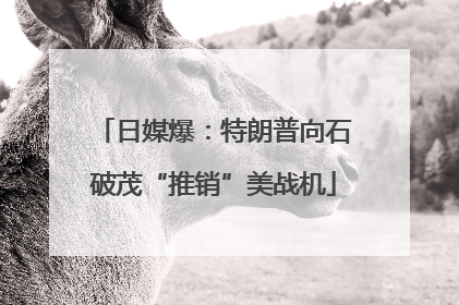 日媒爆：特朗普向石破茂“推销”美战机
