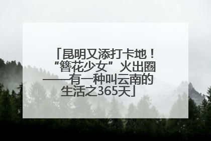 昆明又添打卡地！“簪花少女”火出圈——有一种叫云南的生活之365天