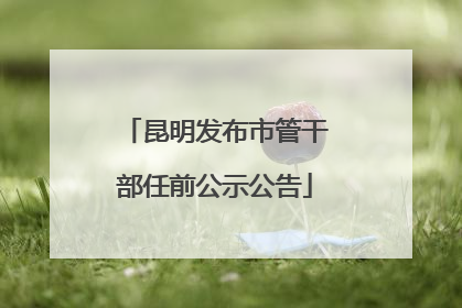 昆明发布市管干部任前公示公告