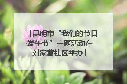 昆明市“我们的节日·端午节”主题活动在刘家营社区举办