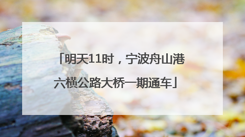 明天11时，宁波舟山港六横公路大桥一期通车