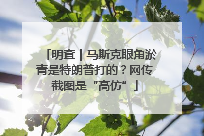 明查｜马斯克眼角淤青是特朗普打的？网传截图是“高仿”