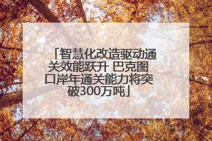 智慧化改造驱动通关效能跃升 巴克图口岸年通关能力将突破300万吨