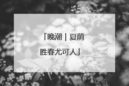 晚潮｜夏荫胜春尤可人