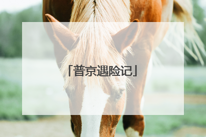 普京遇险记