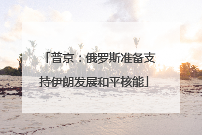 普京：俄罗斯准备支持伊朗发展和平核能