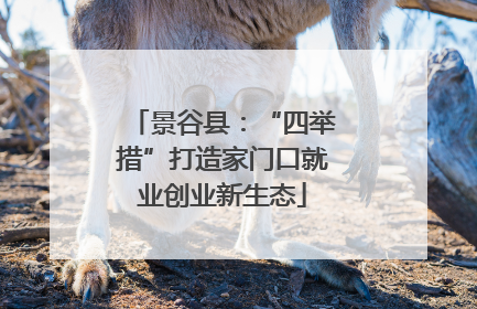 景谷县：“四举措”打造家门口就业创业新生态