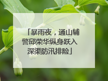 暴雨夜，通山辅警邱荣华纵身跃入深渠防汛排险