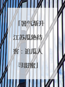 暑气渐升江苏瓜熟待客：追瓜人寻甜蜜