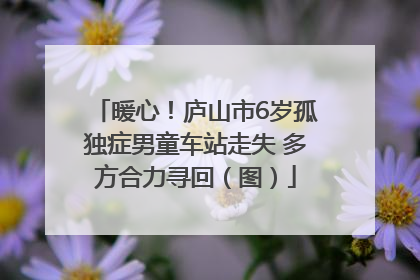 暖心！庐山市6岁孤独症男童车站走失 多方合力寻回（图）