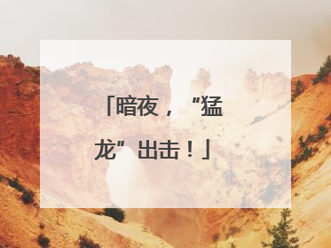 暗夜，“猛龙”出击！