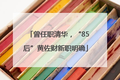 曾任职清华，“85后”黄佐财新职明确