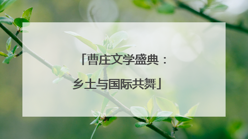 曹庄文学盛典：乡土与国际共舞