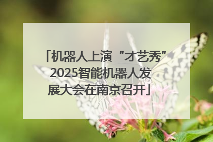 机器人上演“才艺秀” 2025智能机器人发展大会在南京召开