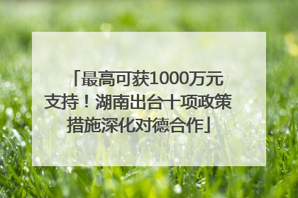最高可获1000万元支持！湖南出台十项政策措施深化对德合作