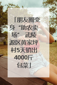 朋友圈变身“助农卖场” 武陵源区黄家坪村5天销出4000斤包菜