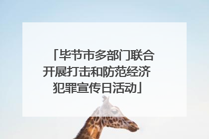 毕节市多部门联合开展打击和防范经济犯罪宣传日活动