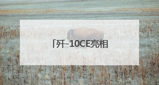 歼-10CE亮相，20多个军政代表团密集到访展台
