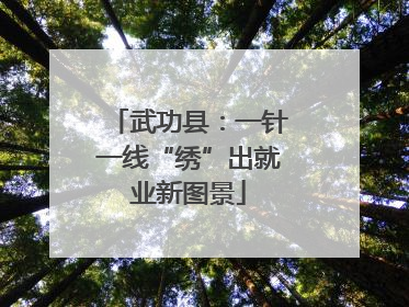 武功县：一针一线“绣”出就业新图景