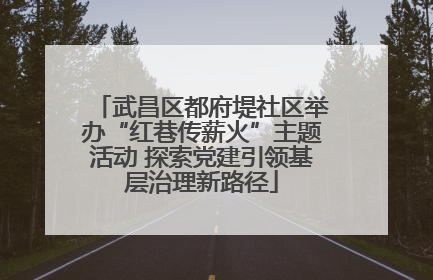 武昌区都府堤社区举办“红巷传薪火”主题活动 探索党建引领基层治理新路径