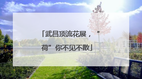 武昌顶流花展，“荷”你不见不散