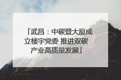 武昌：中碳登大厦成立楼宇党委 推进双碳产业高质量发展
