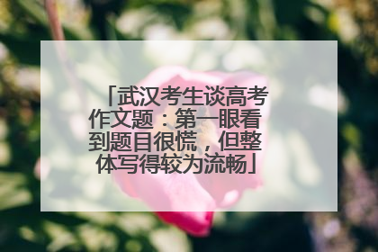 武汉考生谈高考作文题：第一眼看到题目很慌，但整体写得较为流畅