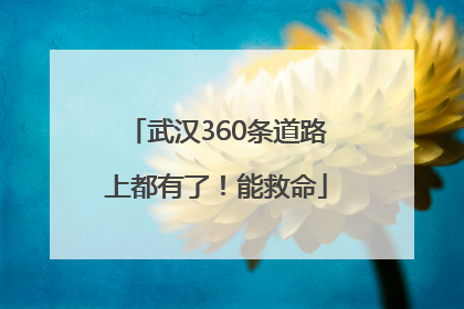 武汉360条道路上都有了！能救命