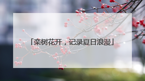 栾树花开，记录夏日浪漫