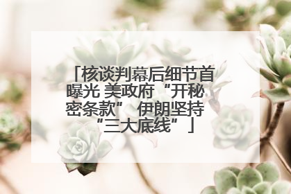 核谈判幕后细节首曝光 美政府“开秘密条款” 伊朗坚持“三大底线”