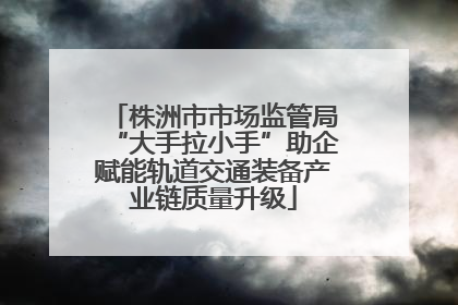 株洲市市场监管局“大手拉小手”助企赋能轨道交通装备产业链质量升级