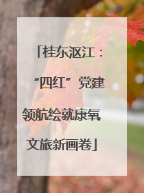 桂东沤江：“四红”党建领航绘就康氧文旅新画卷