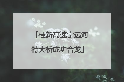桂新高速宁远河特大桥成功合龙