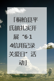 桐柏县平氏镇扎实开展“6·14信用记录关爱日”活动