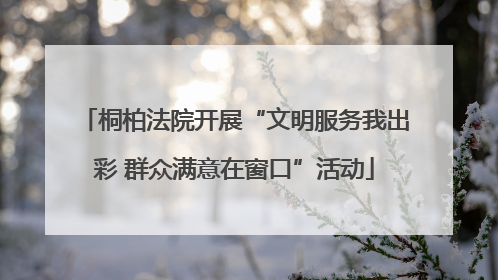 桐柏法院开展“文明服务我出彩 群众满意在窗口”活动