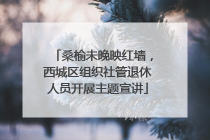 桑榆未晚映红墙，西城区组织社管退休人员开展主题宣讲