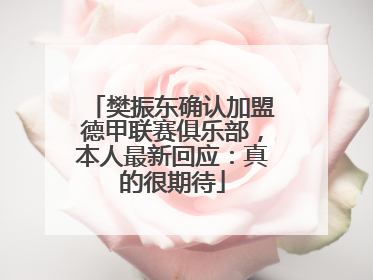 樊振东确认加盟德甲联赛俱乐部，本人最新回应：真的很期待