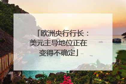 欧洲央行行长：美元主导地位正在变得不确定