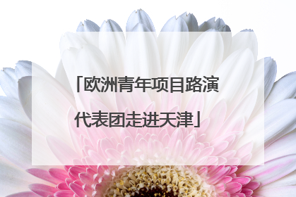 欧洲青年项目路演代表团走进天津
