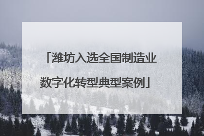 潍坊入选全国制造业数字化转型典型案例
