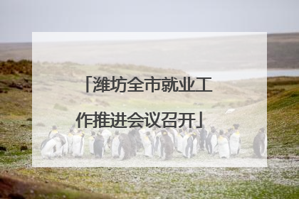 潍坊全市就业工作推进会议召开