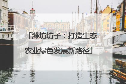 潍坊坊子：打造生态农业绿色发展新路径