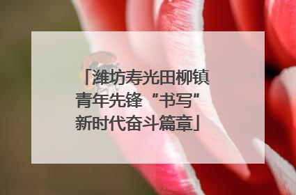 潍坊寿光田柳镇青年先锋“书写”新时代奋斗篇章