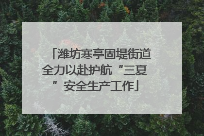 潍坊寒亭固堤街道全力以赴护航“三夏”安全生产工作