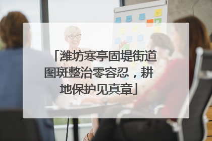 潍坊寒亭固堤街道图斑整治零容忍，耕地保护见真章