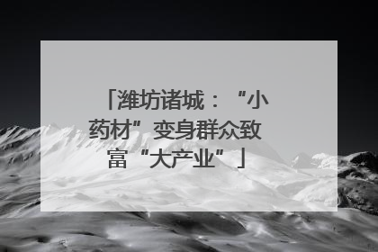潍坊诸城：“小药材”变身群众致富“大产业”