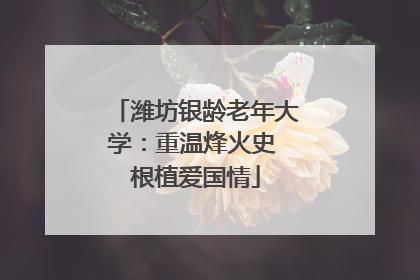 潍坊银龄老年大学：重温烽火史 根植爱国情
