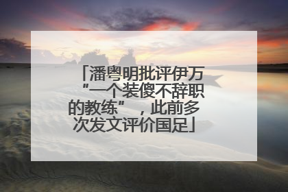 潘粤明批评伊万“一个装傻不辞职的教练”，此前多次发文评价国足